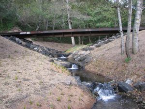 Frenchman's Creek habitat restoration project - after