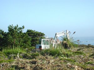 habitat restoration with weed management