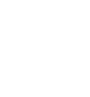 Go Native, Inc.