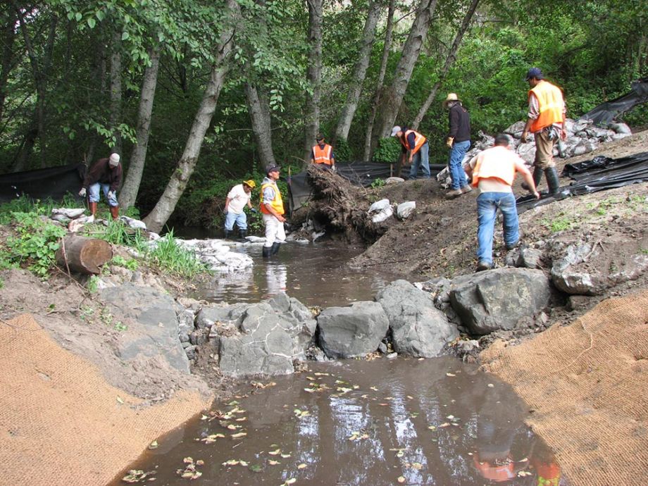 streams and trails habitat restoration