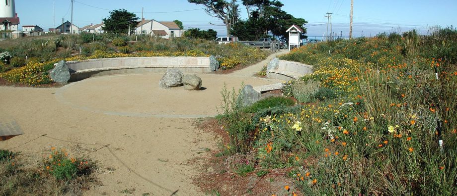Whaler's Cove native plantings for POST