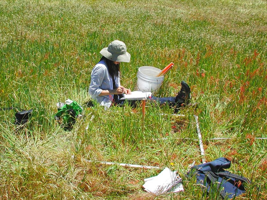 resource management services