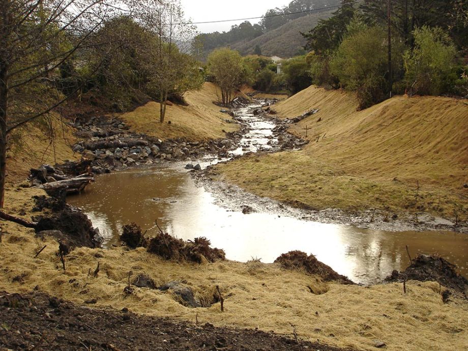 Irrigation design and installation, San Pedro Creek