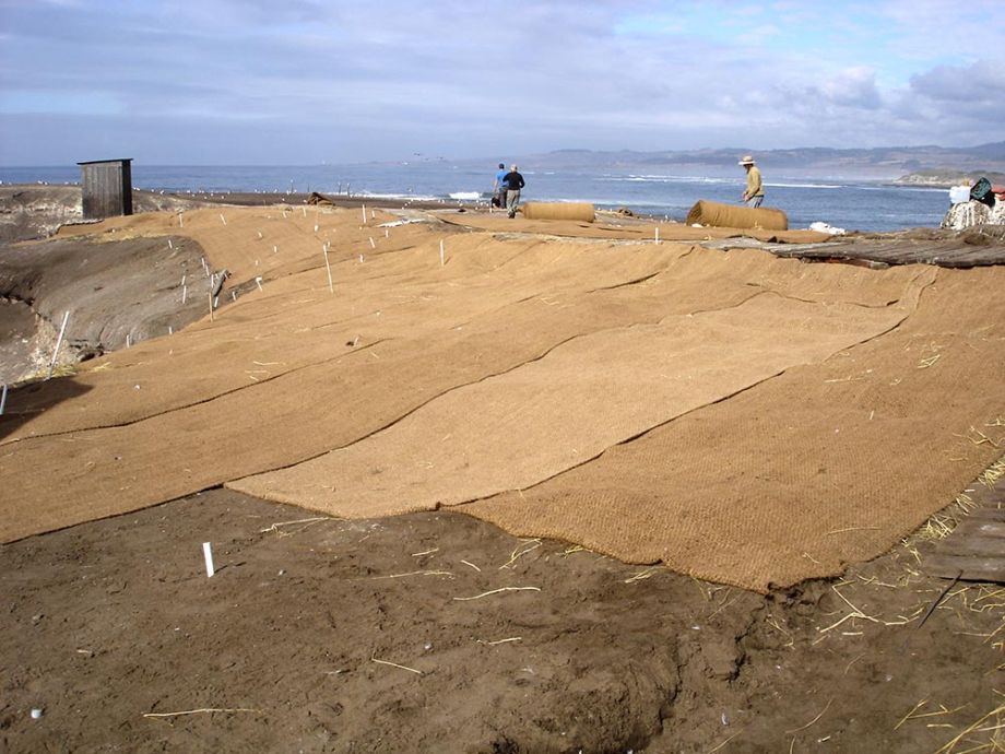 erosion control fabric being installed on Año Nuevo Island