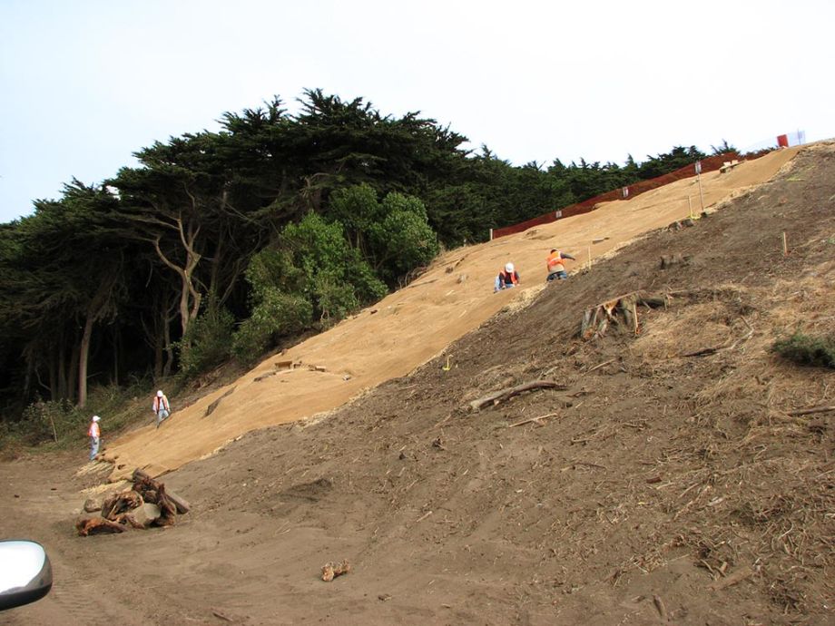 erosion control on steep hillside