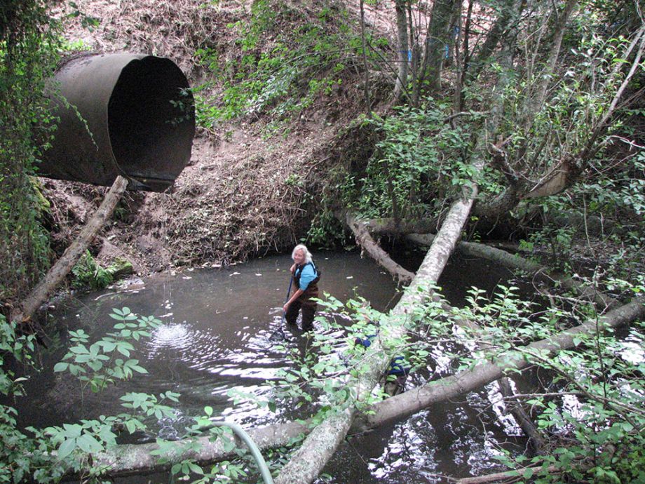 Frenchman's Creek habitat restoration project - before
