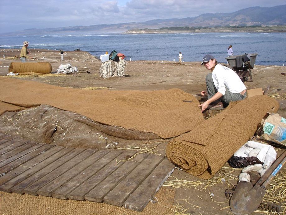 erosion control on ocean bluffs