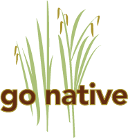 Go Native, Inc.