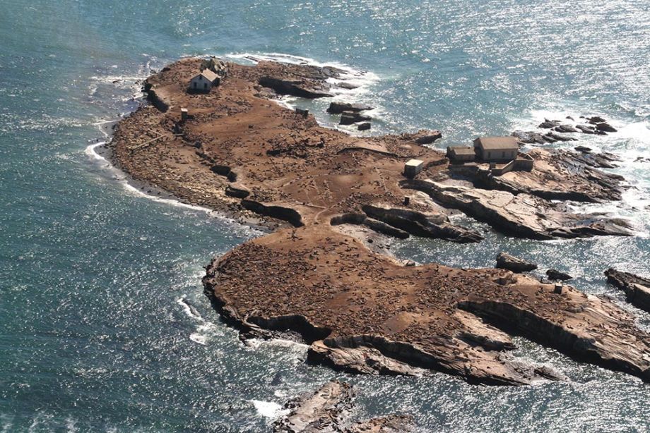 Año Nuevo Island aerial view