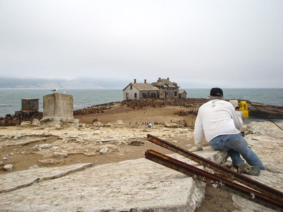 Año Nuevo Island
